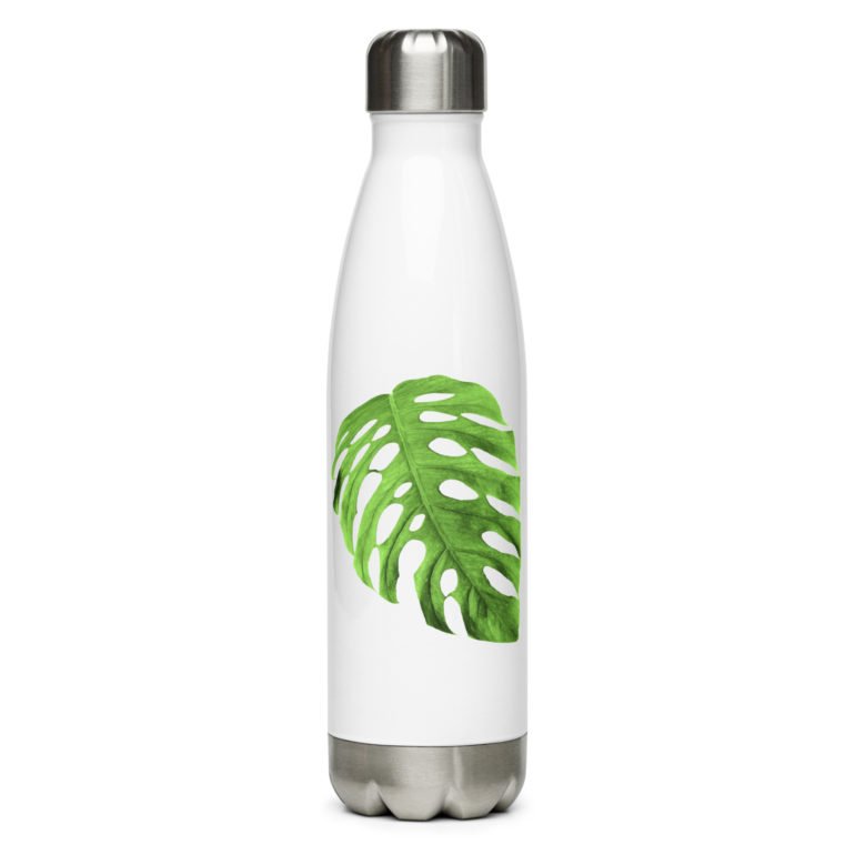 stainless steel water bottle white 17oz front 64257ab98e9fd