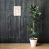 enhanced matte paper poster in 12x16 lifestyle 2 647f58ade816a
