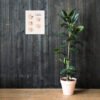 enhanced matte paper poster in 16x20 lifestyle 2 647f58ade8232