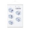 enhanced matte paper poster with hanger in white 24x36 front 647f4ab06cf49