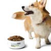 pet bowl white 32oz front 647dee8ca2200